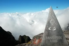 Ảnh minh họa. (Nguồn: Interrnet)