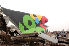 Xác chiếc máy bay bị nạn. (Ảnh: AFP/TTXVN) 