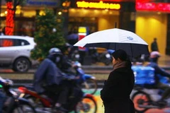 Ảnh minh họa. (Nguồn: Internet)