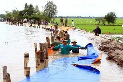 Gia cố đê bao chống lũ năm 2011 ở Đồng Tháp. (Nguồn: TTXVN)