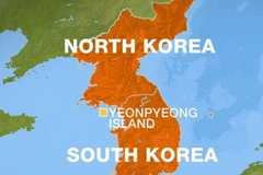 Ảnh minh họa. (Nguồn: Internet)