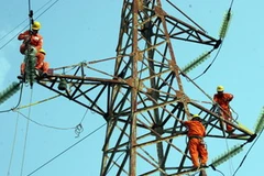 Ảnh minh họa. (Nguồn: Internet)