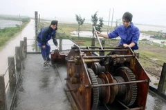 Công nhân ngành thủy lợi kiểm tra cống CT3 tại xã Kim Đông (huyện Kim Sơn), trưa 28/10, trong điều kiện gió bão đang mạnh lên. (Ảnh: Thế Duyệt/TTXVN)