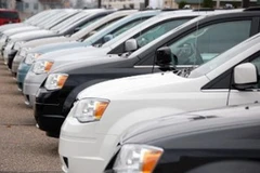 Ảnh minh họa. (Nguồn: Internet)