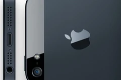 Ảnh minh họa. (Nguồn: Âpple)