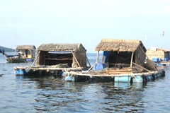 Nhà bè nuôi thủy sản trên biển ở Kiên Giang. (Nguồn: báo Nhân Dân điện tử)