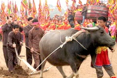 Chủ tịch nước Nguyễn Minh Triết tham gia lễ “tịch điền”. (Ảnh: Ngọc Cương/Vietnam+)