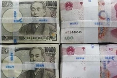 Ảnh minh họa. (Nguồn: Internet)