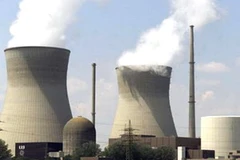 Ảnh minh họa. (Nguồn: Internet)