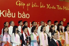 Chương trình giao lưu văn nghệ của các kiều bào. (Ảnh: Thế Anh/TTXVN)