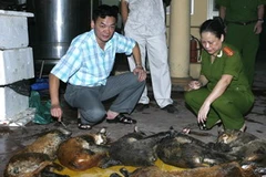 Ảnh chỉ mang tính minh họa. (Ảnh: Thống Nhất/TTXVN)