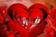 Ảnh chỉ mang tính minh họa. (Nguồn: Internet)