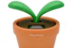 Ảnh có tính minh họa. (Nguồn: Internet)