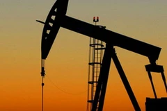 Ảnh minh họa. (Nguồn: universalfuels.co.uk)