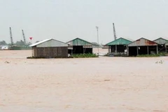 Nước lũ dâng nhanh trên sông Tiền qua tỉnh Đồng Tháp. (Nguồn: congly.com.vn)