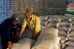 Bốc xếp gạo xuất khẩu tại Công ty cổ phần lương thực Hậu Giang. (Ảnh: Duy Khương/TTXVN)