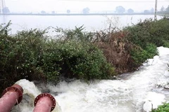 Bơm nước phục vụ sản xuất vụ Đông-Xuân. (Ảnh: Đình Huệ/TTXVN)