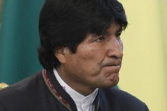 Tổng thống Bolivia, Evo Morales. (Nguồn: Getty Images)
