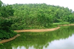 Ảnh minh họa. (Nguồn: Internet)