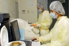 Ảnh minh họa. (Nguồn: TTXVN)