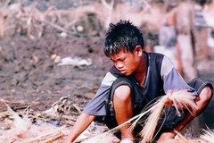 Ảnh minh họa. (Nguồn: flickr.com)