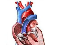 Ảnh chỉ mang tính minh họa. (Nguồn: Internet)