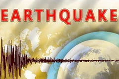 Ảnh minh họa. (Nguồn: Internet)