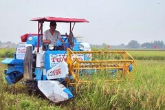 Ảnh minh họa. (Nguồn: TTXVN)