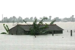 Cảnh ngập lụt ở xã Hạ Trạch, huyện Bố Trạch, Quảng Bình. (Ảnh: Đức Thọ/TTXVN) 