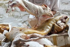 Ảnh minh họa. (Nguồn: Internet)