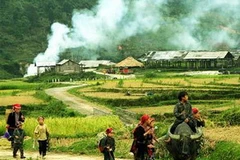 Ảnh chỉ mang tính minh họa. (Nguồn: Internet)