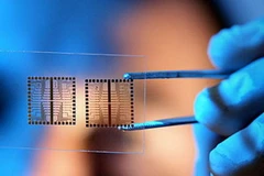 Chip sinh học. (Nguòn: yaerahoraenlaradio.blogspot.com)