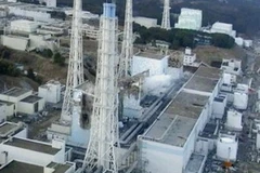 IAEA cho biết tình hình nhà máy điện hạt nhân Fukushima 1 không xấu thêm. (Nguồn: Reuters) 