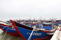 Tàu thuyền vào trú ẩn tránh bão tại Khu neo đậu tàu thuyền Phú Hải, Thừa Thiên-Huế. (Ảnh: Quốc Việt/TTXVN)