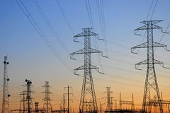 Ảnh minh họa. (Nguồn: Internet)