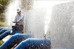 Ảnh minh họa. (Nguồn: TTXVN)