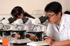 Ảnh minh họa. (Nguồn: Internet)