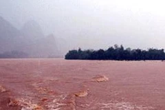 Ảnh minh họa. (Nguồn: Internet)