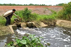 Cống xả thải ra rạch Bà Chèo rồi ra sông Đồng Nai của Sonadezi Long Thành. (Nguồn: Dân Trí)