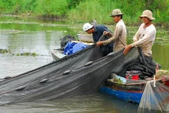 Ảnh minh họa. (Nguồn: ca.cand.com.vn)