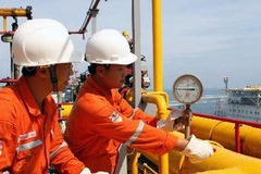 Ảnh minh họa. (Nguồn: TTXVN)