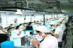 Ảnh minh họa. (Nguồn: Internet)