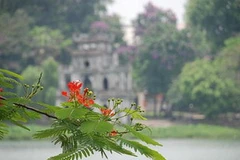 Ảnh minh họa. (Nguồn: Internet)