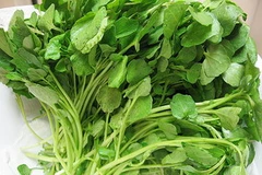 Ăn 85g cải xoong trước khi luyện tập sẽ có tác dụng bảo vệ DNA hiệu quả. (Nguồn: Internet)