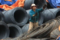 Ảnh minh họa. (Ảnh: Tuấn Anh/TTXVN)