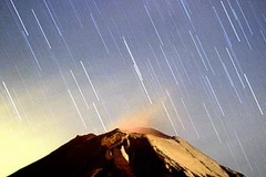 Ảnh minh họa. (Nguồn: Internet)