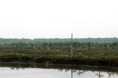 Khu đất nhà ông Vươn (Nguồn: Internet)