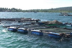 Lồng nuôi cá trên biển ở Kiên Giang. (Nguồn: monre.gov.vn)