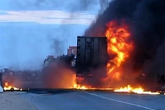 Ảnh minh họa. (Nguồn: Internet)