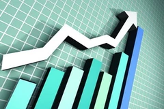 Ảnh minh họa. (Nguồn: Internet)